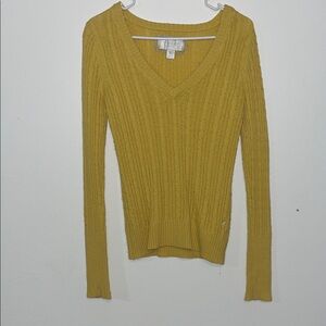 American Eagle Outfitters Mustard V-Neck Sweater